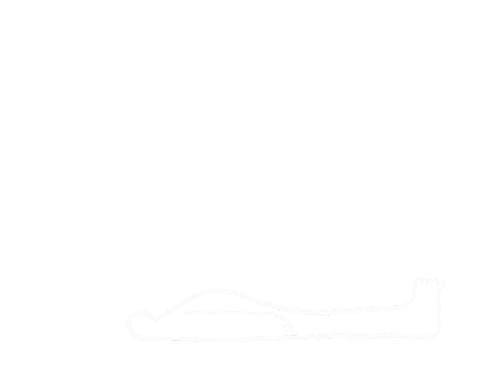 Yoga Yogi Sticker by cocoon lab