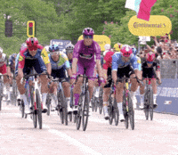 Number 1 Win GIF