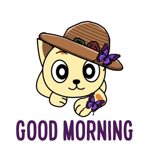 Good Morning Kitty GIF by JPedicini