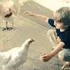 hug GIF