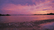 sunset waves GIF by Living Stills