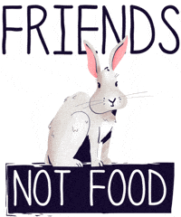Bunny Go Vegan GIF by LIVEKINDLY