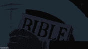 one piece shichibukai GIF