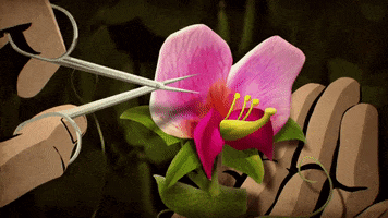 Cosmospossibleworlds GIF by cosmosontv