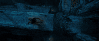 emma watson GIF by Beauty And The Beast