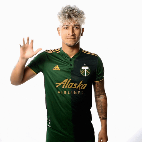 Portland Timbers Hello GIF by Timbers