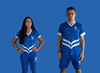 Gymnastics Ginastica Artistica GIF by Minas Tênis Clube