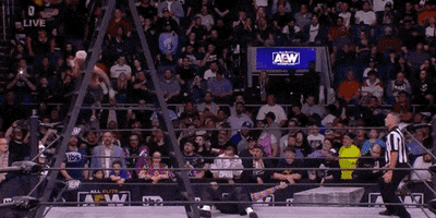 Jeff Hardy Wrestling GIF by AEWonTV