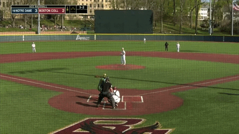 typicalbaseballfan giphyupload GIF