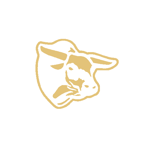 Fantasy Bull Sticker by Rank Ride