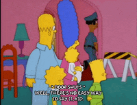 homer simpson episode 10 GIF