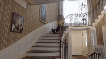 Gophers goldy gopher GIF