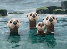 Concerned Otters