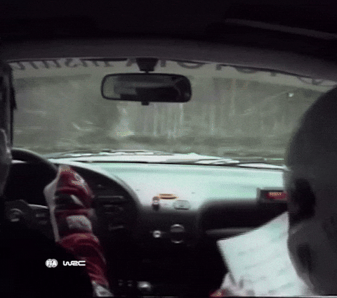 Game Over Monday GIF by FIA World Rally Championship