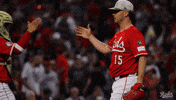 Celebration Hug GIF by Cincinnati Reds