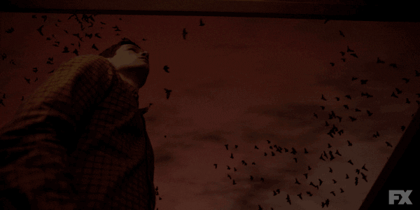 flying american horror story GIF by AHS