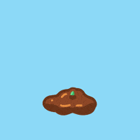 Flower Growing GIF