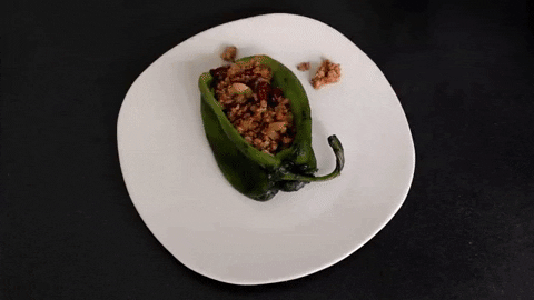 roynerisanchez giphygifmaker mexico chile puebla GIF