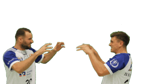 Handball Sticker by TV Korschenbroich