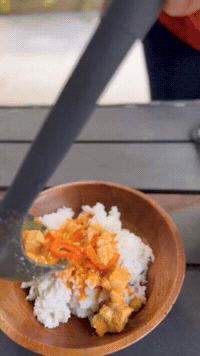 Red Curry In A Rice Cooker | Rice Robot