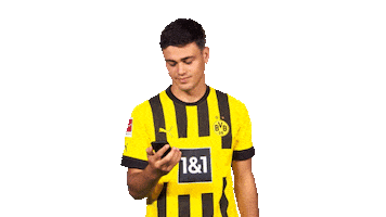 Come On Yes Sticker by Bundesliga