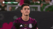 Liga Mx Football GIF by MiSelecciónMX