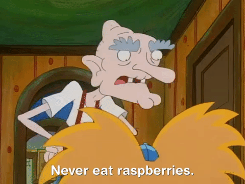 hey arnold nick splat GIF