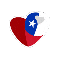 Rmhcfamilydaylatam Sticker by Instituto Ronald McDonald