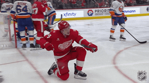 Happy Red Wings GIF by NHL