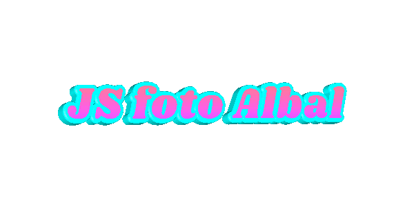 JSFotoalbal albal js foto albal fotoalbal Sticker