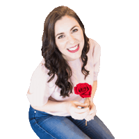 Rose Sticker by Kassie Layne Photography