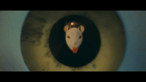 Pop Rock Mask GIF by Thriller Records