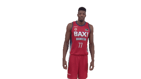 Liga Endesa Yes Sticker by ACB