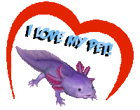 Guinea Pig Love Sticker