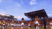 fly over coast guard GIF by Houston Dynamo