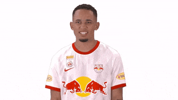 Celebration Yes GIF by FC Red Bull Salzburg