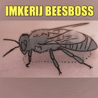 imkerijBeesboss bij beekeeping beesboss imkerij GIF