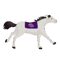 Horse Racing Sticker by Breeders' Cup World Championships