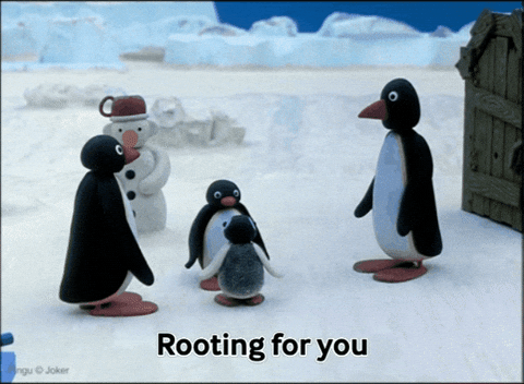 You Got This Go Get Em GIF by Pingu