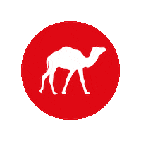 Ooredoo Salalah Sticker by Vodafone Oman