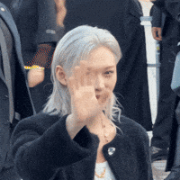 Stray Kids Skz GIF