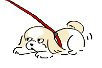 Shihtzu Sticker by うちクリ