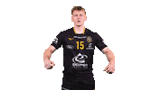 Celebration Handball Sticker by Team Chambé