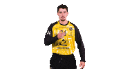 Celebration Handball Sticker by Team Chambé