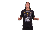Celebration Handball Sticker by Team Chambé