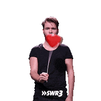 Valentines Day Love Sticker by SWR3
