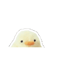 Chicken Sticker by UULA.gif