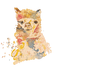 mamabearartist malenmitfreundenpaderborn malen mit freunden paderborn mamabearartist alpaka logo with text Sticker