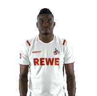 Fc Cologne Bundesliga Sticker by 1. FC Köln