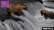 exploreorg love nature animal organic GIF
